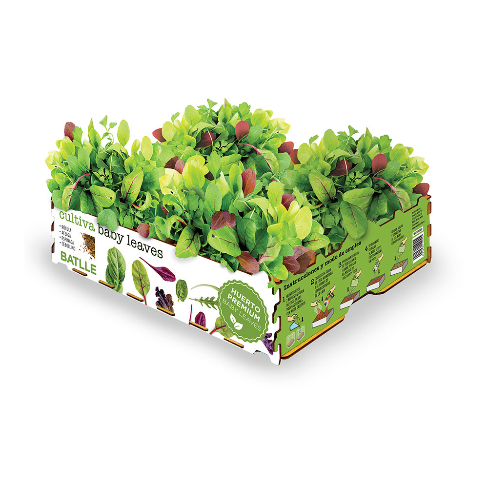 CAJA DE ENSALADAS BABY LEAVES BATLLE