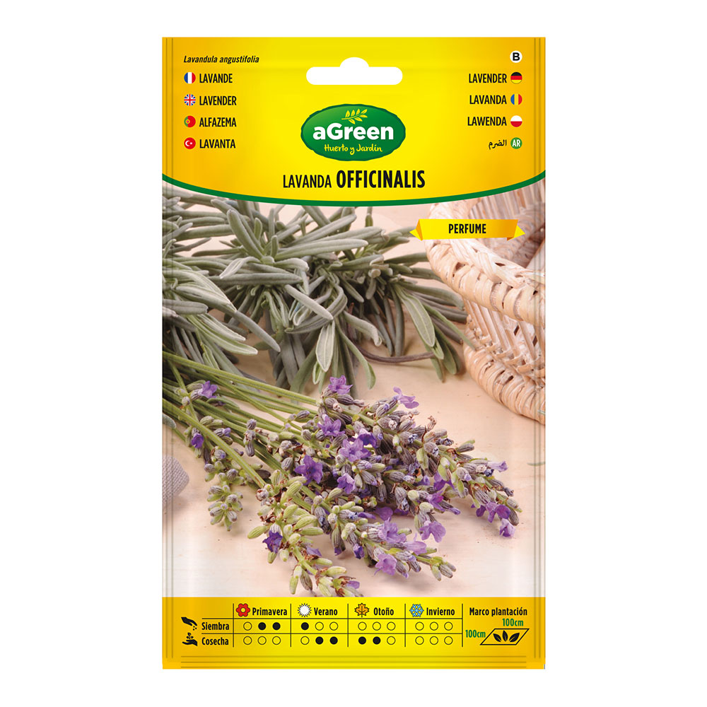 SOBRE CON SEMILLAS DE LAVANDA OFFICINALIS 301031BOLSH AGREEN